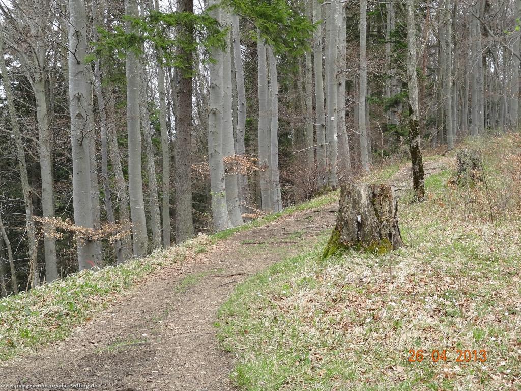 Philosophische Bildwanderung Traufgang Zollernburg-Panorama
