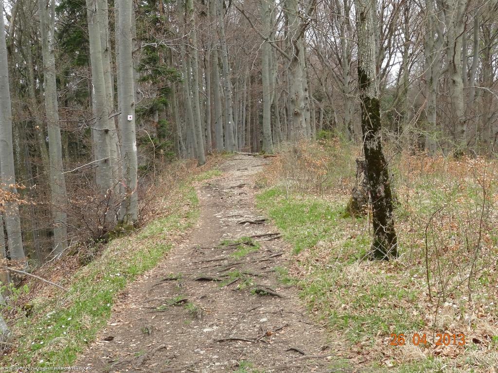 Philosophische Bildwanderung Traufgang Zollernburg-Panorama