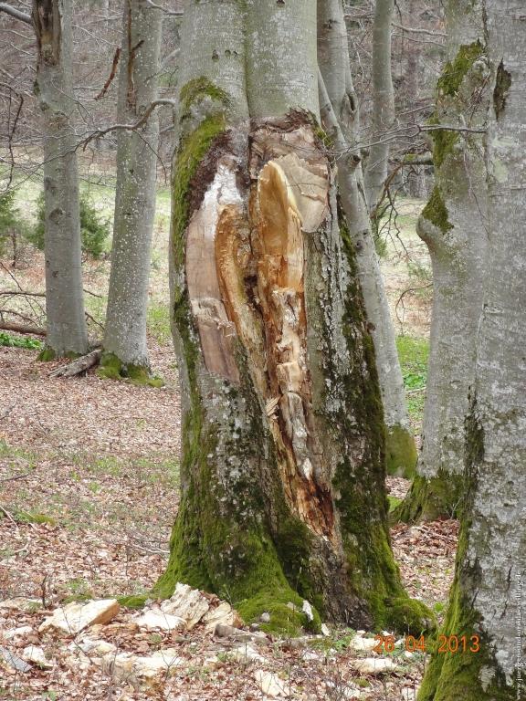 Philosophische Bildwanderung Traufgang Zollernburg-Panorama