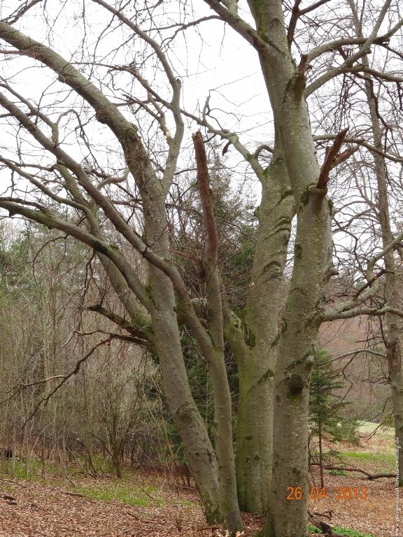 Philosophische Bildwanderung Traufgang Zollernburg-Panorama