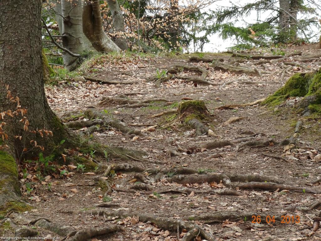Philosophische Bildwanderung Traufgang Zollernburg-Panorama