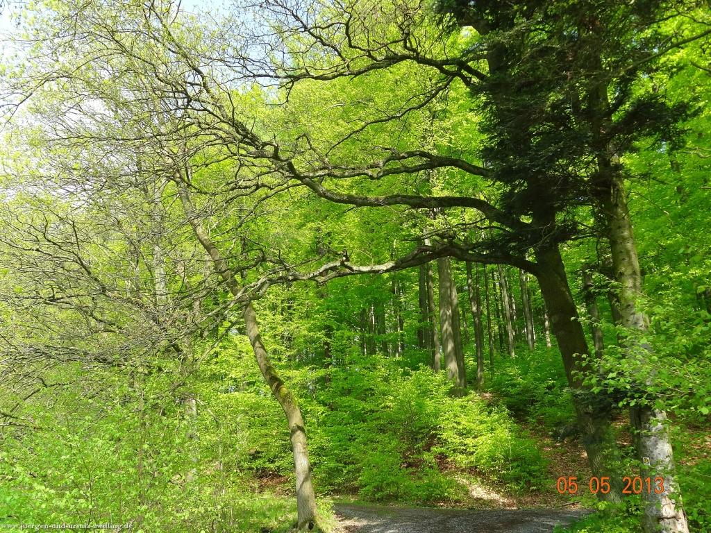 Philosophische Bildwanderung Modautaler Weitblickweg