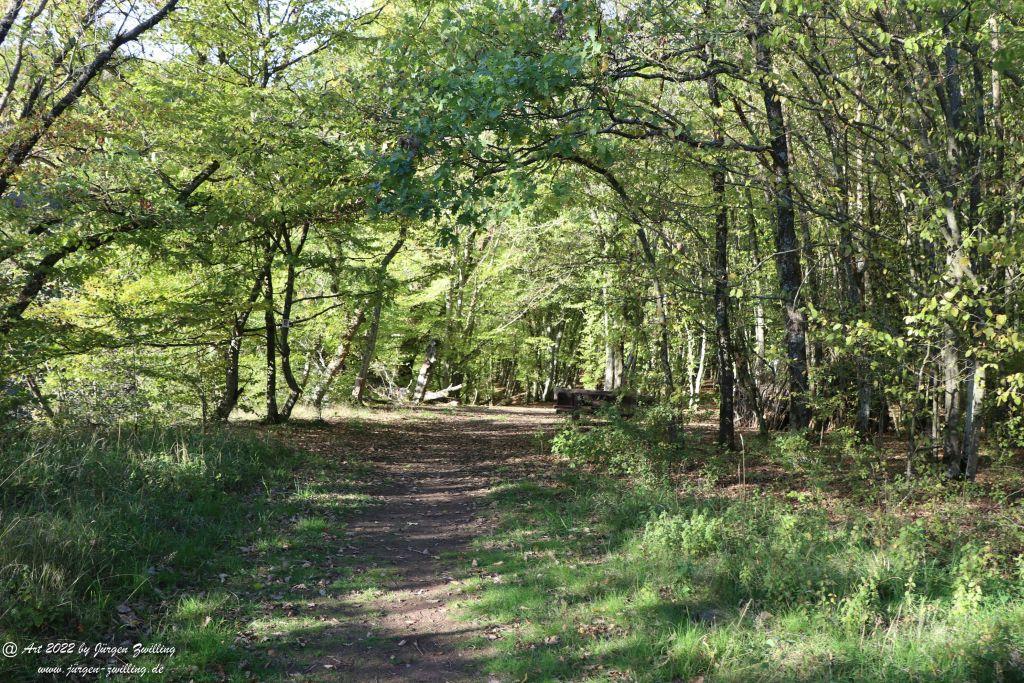 Philosophische Bildwanderung Traumschleife Rund um die Kama - Nahe - Hunsrück