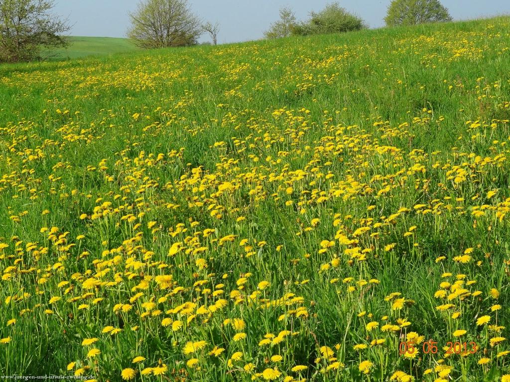 Philosophische Bildwanderung Modautaler Weitblickweg