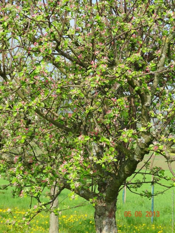 Philosophische Bildwanderung Modautaler Weitblickweg