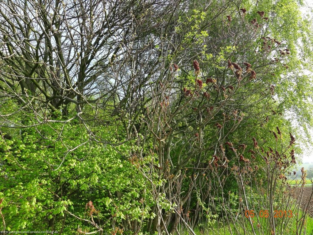 Philosophische Bildwanderung Modautaler Weitblickweg