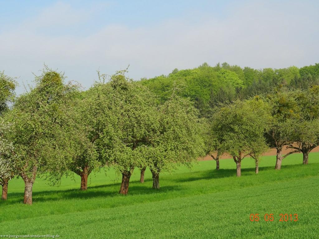 Philosophische Bildwanderung Modautaler Weitblickweg