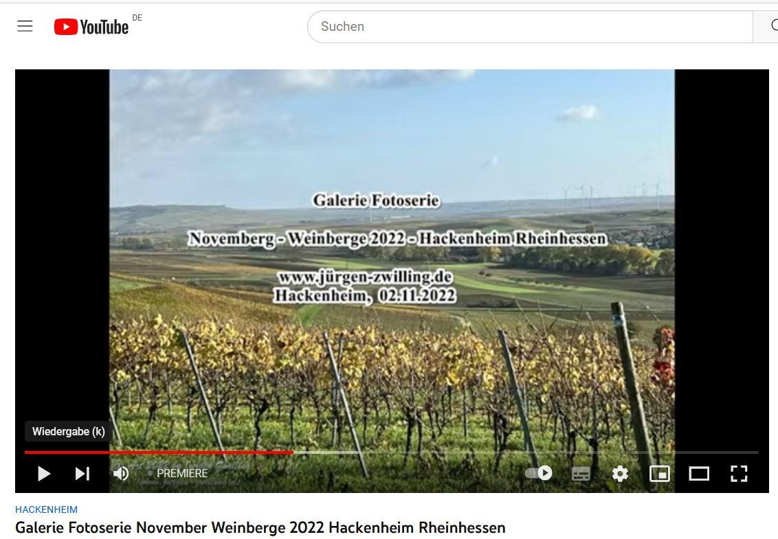 November - Weinberge 2022 - Hackenheim Rheinhessen