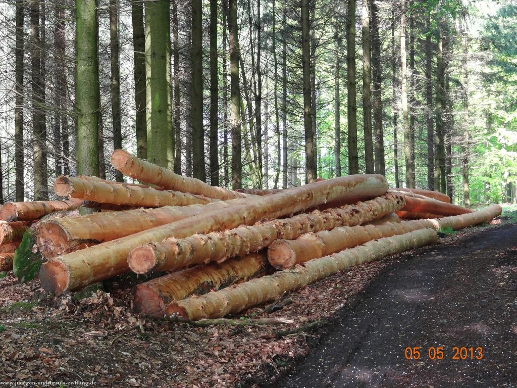 Philosophische Bildwanderung Modautaler Weitblickweg