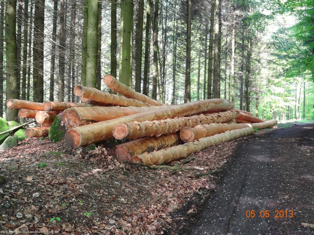 Philosophische Bildwanderung Modautaler Weitblickweg