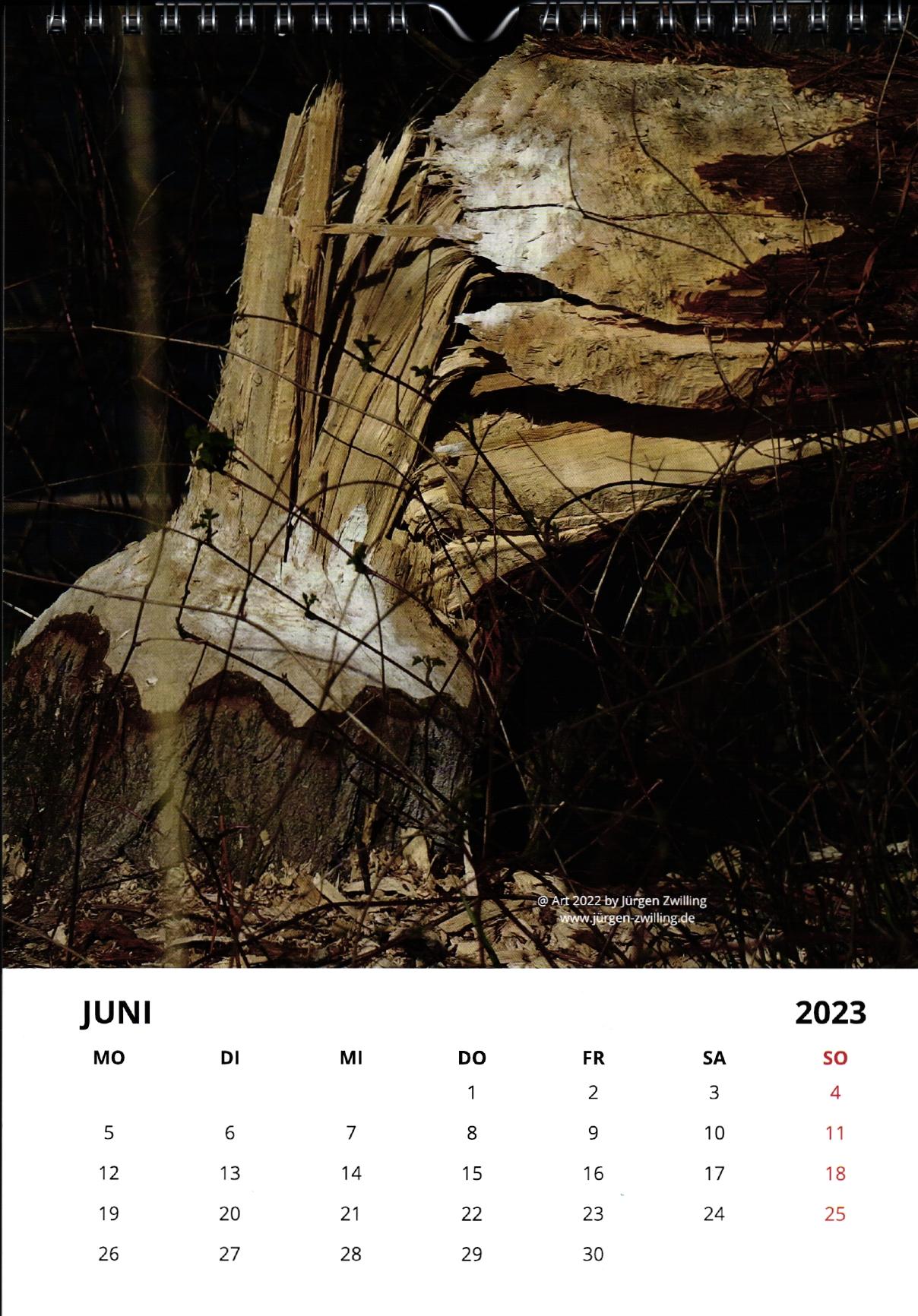 Galerie Kalender Naturkunst 2023
