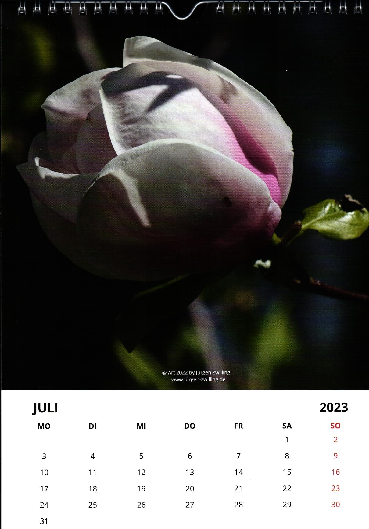 Galerie Kalender Naturkunst 2023