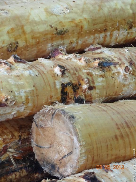 Philosophische Bildwanderung Modautaler Weitblickweg