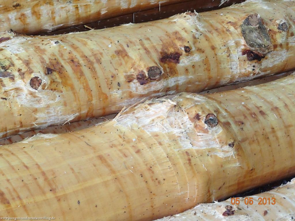 Philosophische Bildwanderung Modautaler Weitblickweg