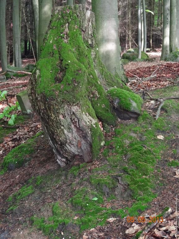 Philosophische Bildwanderung Modautaler Weitblickweg