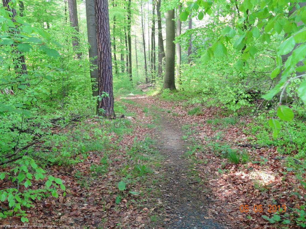 Philosophische Bildwanderung Modautaler Weitblickweg