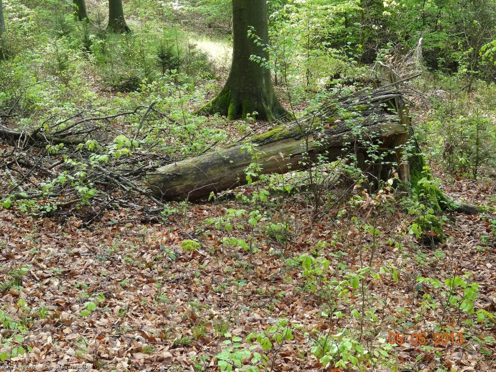 Philosophische Bildwanderung Modautaler Weitblickweg