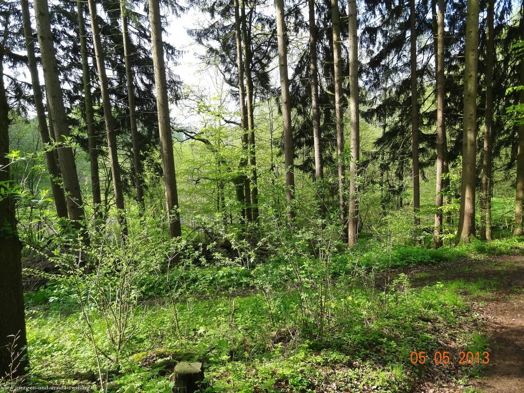 Philosophische Bildwanderung Modautaler Weitblickweg