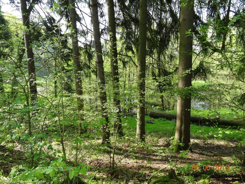 Philosophische Bildwanderung Modautaler Weitblickweg