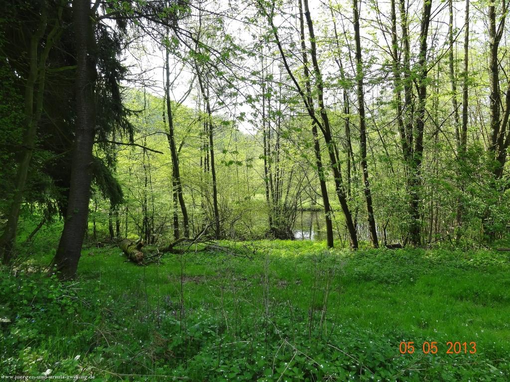 Philosophische Bildwanderung Modautaler Weitblickweg