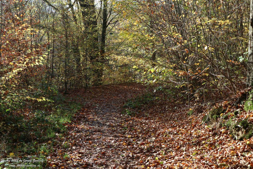 Philosophische Bildwanderung Rochlitzer Berg - Sachsen