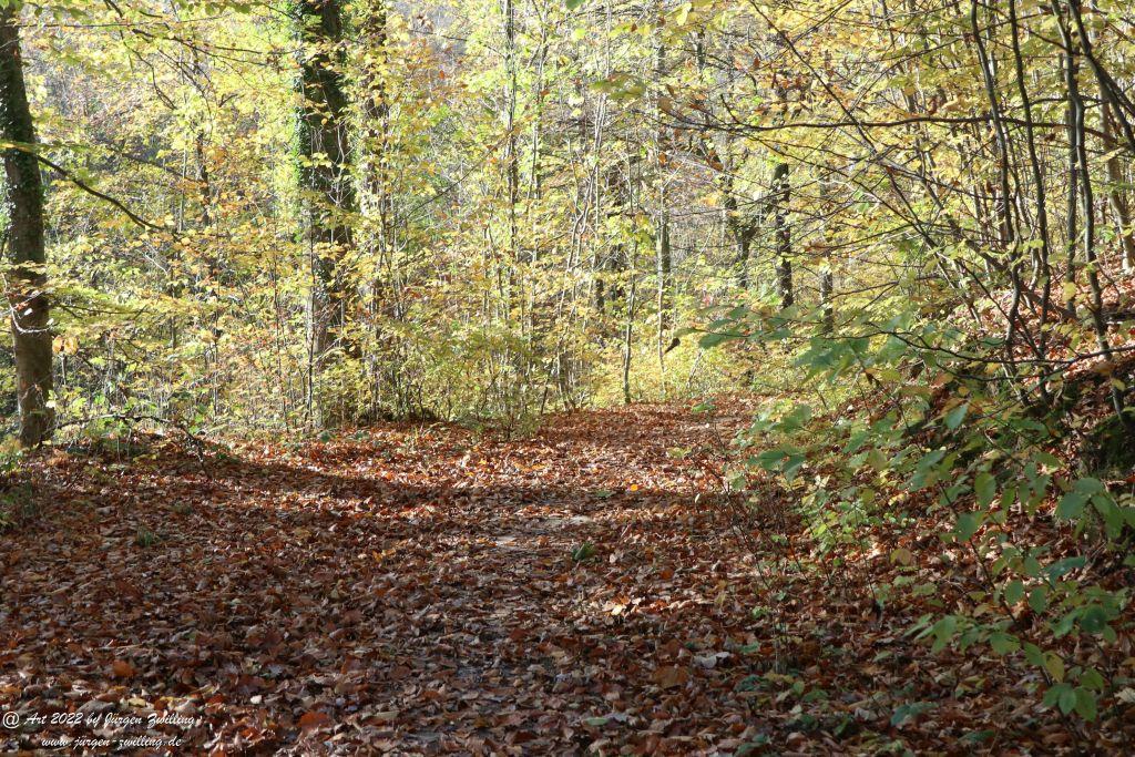 Philosophische Bildwanderung Rochlitzer Berg - Sachsen