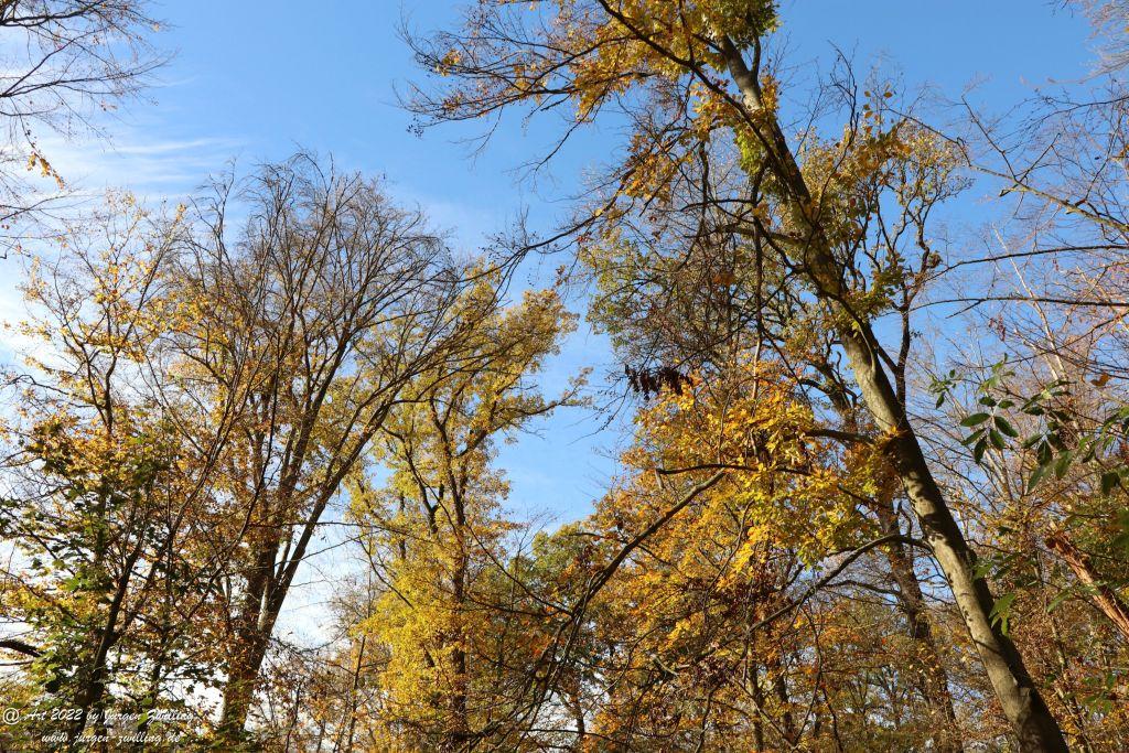 Philosophische Bildwanderung Rochlitzer Berg - Sachsen