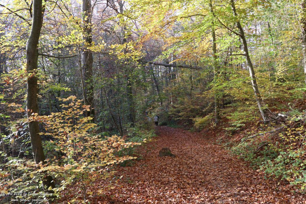 Philosophische Bildwanderung Rochlitzer Berg - Sachsen