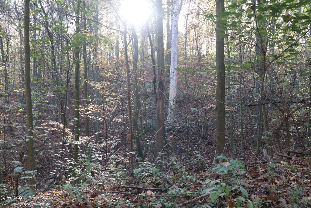 Philosophische Bildwanderung Rochlitzer Berg - Sachsen