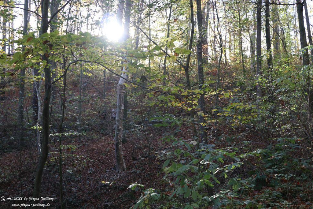 Philosophische Bildwanderung Rochlitzer Berg - Sachsen