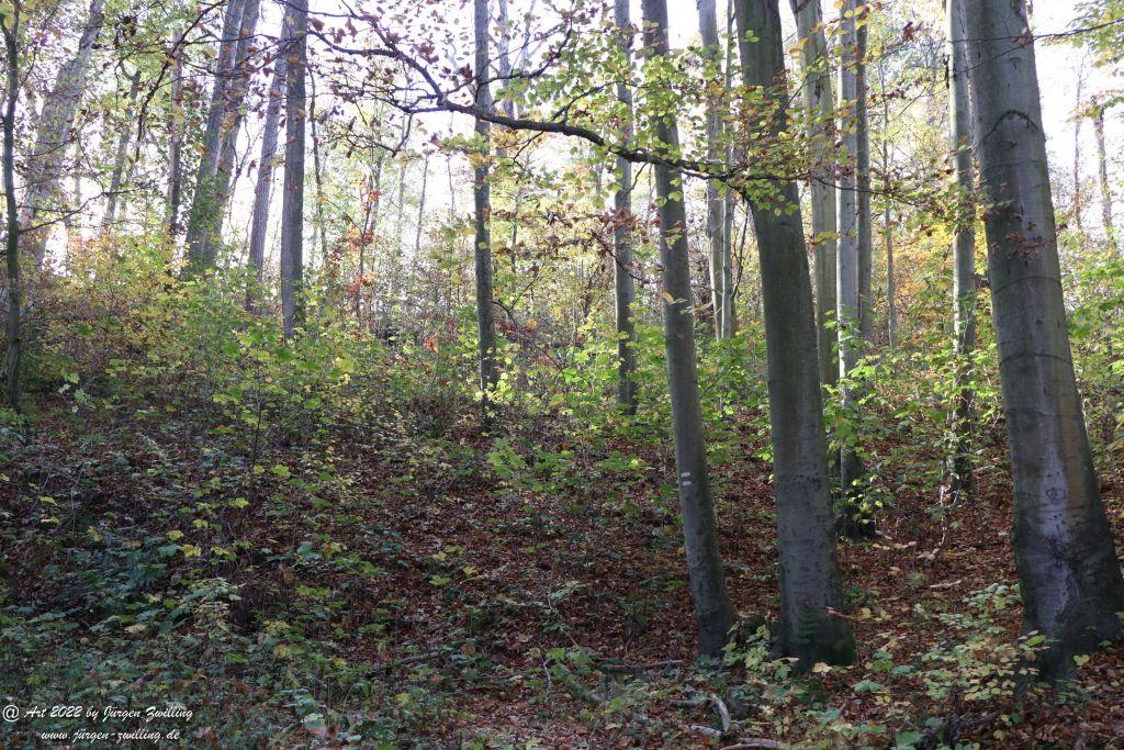 Philosophische Bildwanderung Rochlitzer Berg - Sachsen