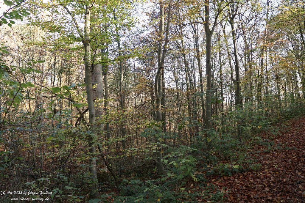 Philosophische Bildwanderung Rochlitzer Berg - Sachsen