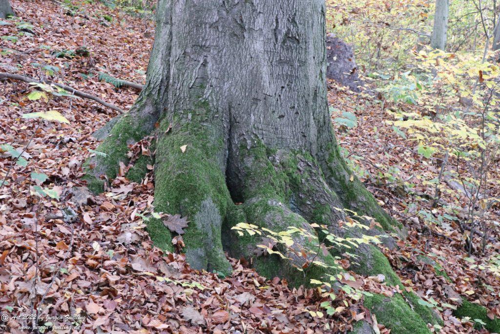 Philosophische Bildwanderung Rochlitzer Berg - Sachsen