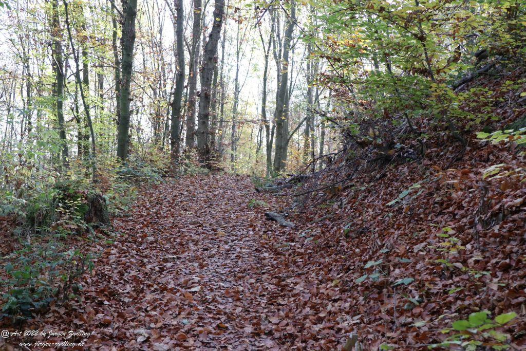 Philosophische Bildwanderung Rochlitzer Berg - Sachsen