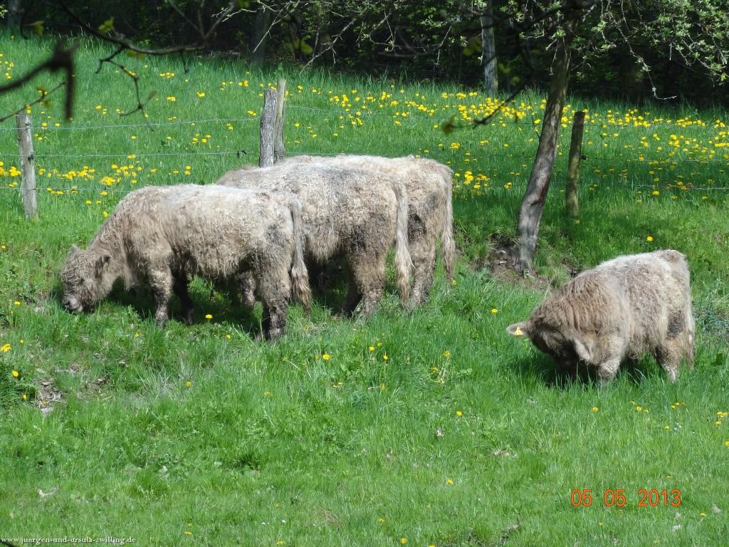 Philosophische Bildwanderung Modautaler Weitblickweg