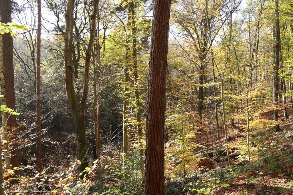 Philosophische Bildwanderung Rochlitzer Berg - Sachsen