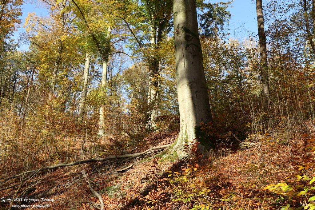 Philosophische Bildwanderung Rochlitzer Berg - Sachsen