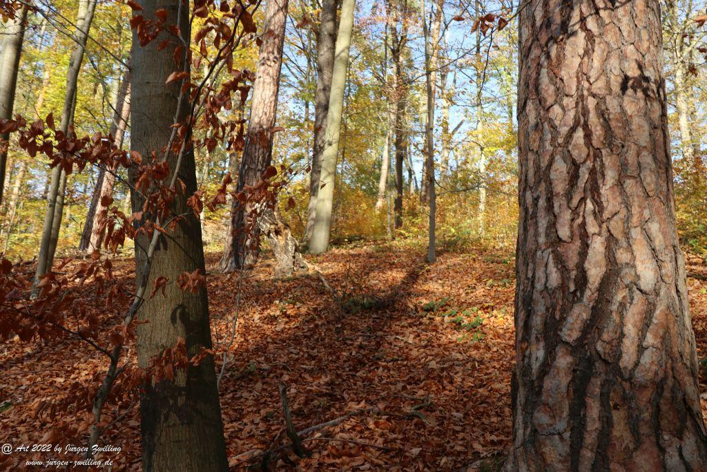 Philosophische Bildwanderung Rochlitzer Berg - Sachsen