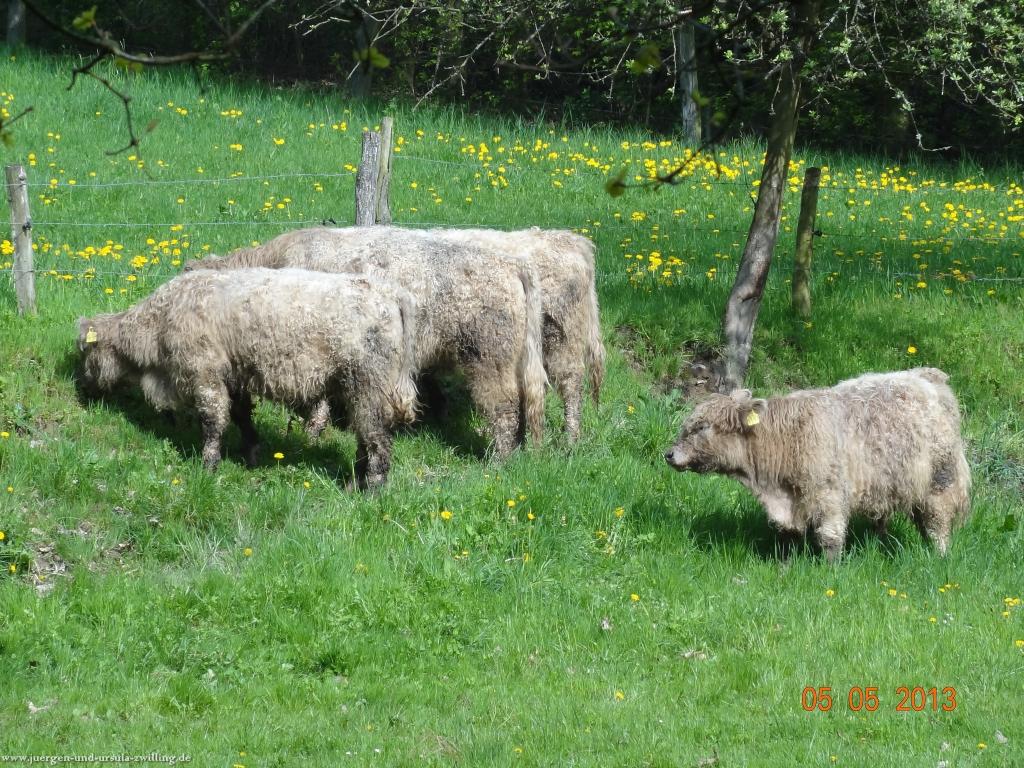 Philosophische Bildwanderung Modautaler Weitblickweg