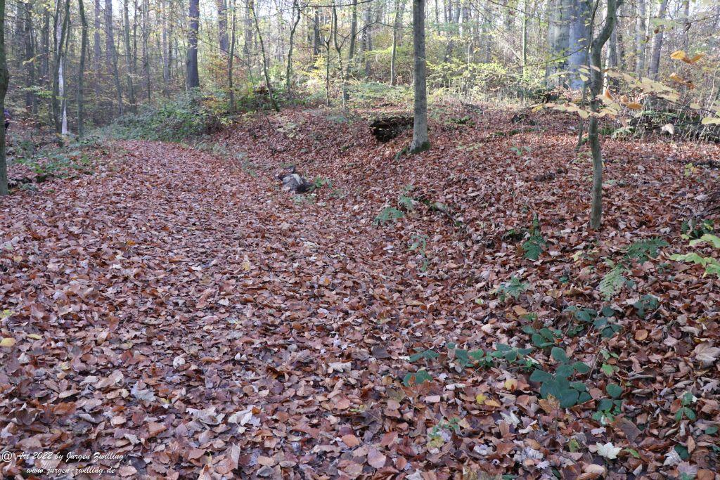 Philosophische Bildwanderung Rochlitzer Berg - Sachsen