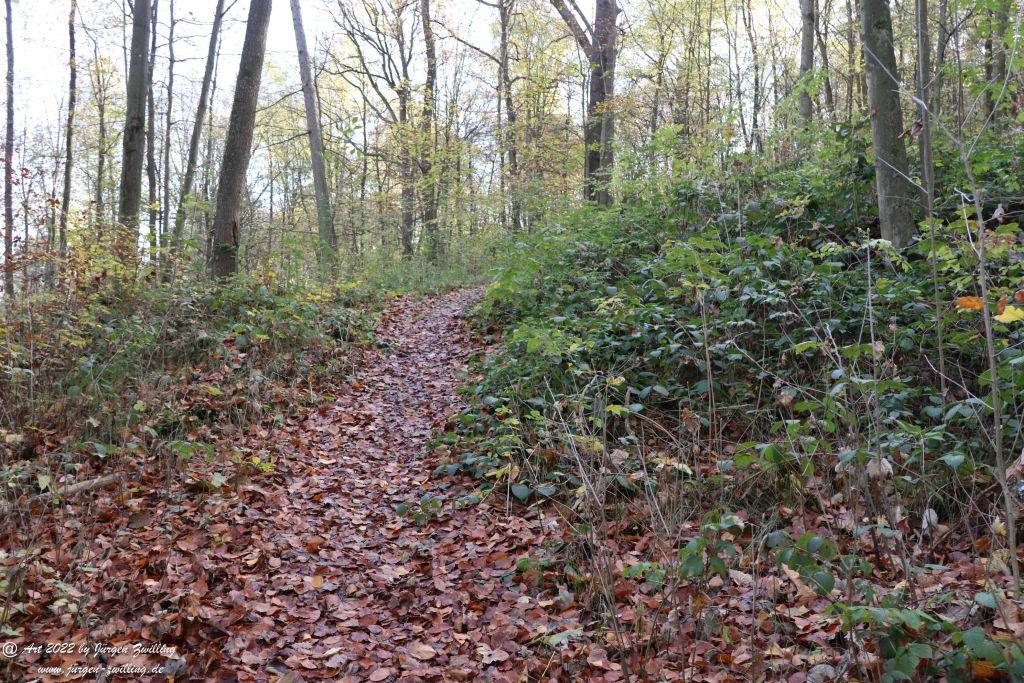 Philosophische Bildwanderung Rochlitzer Berg - Sachsen