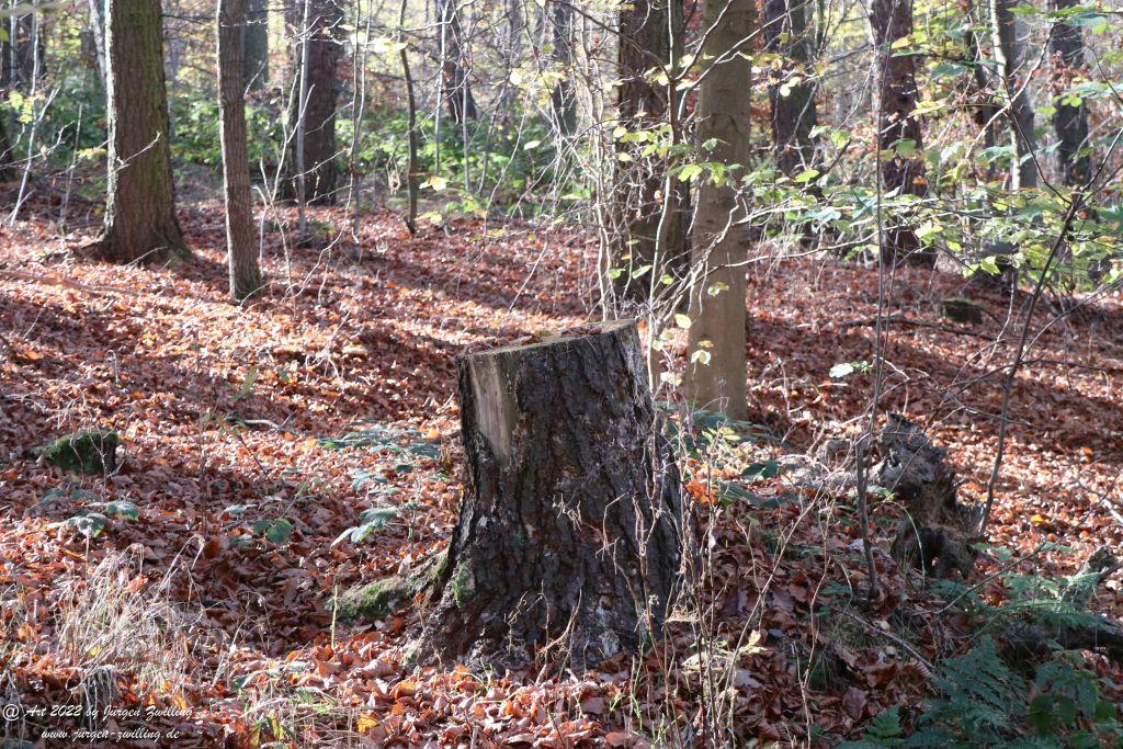 Philosophische Bildwanderung Rochlitzer Berg - Sachsen