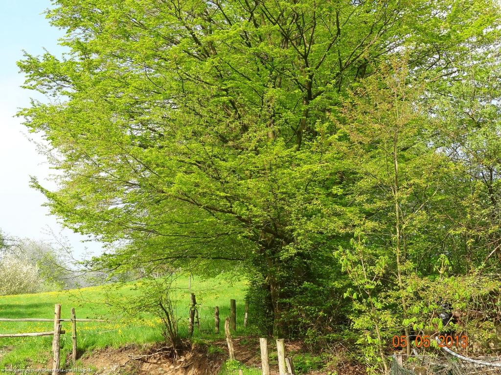 Philosophische Bildwanderung Modautaler Weitblickweg