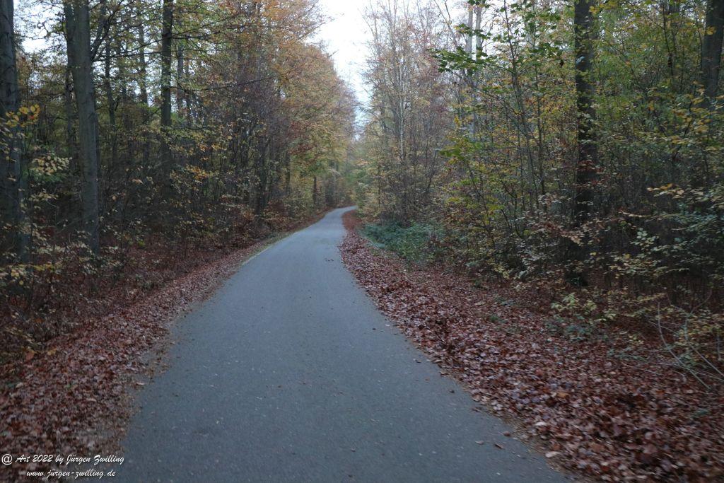 Philosophische Bildwanderung Rochlitzer Berg - Sachsen