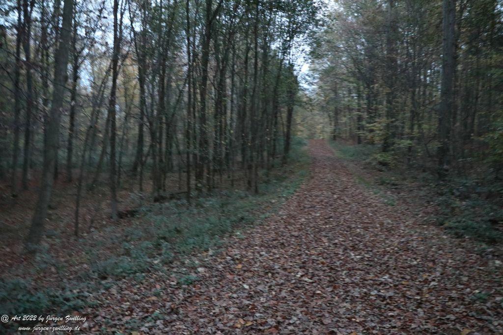 Philosophische Bildwanderung Rochlitzer Berg - Sachsen