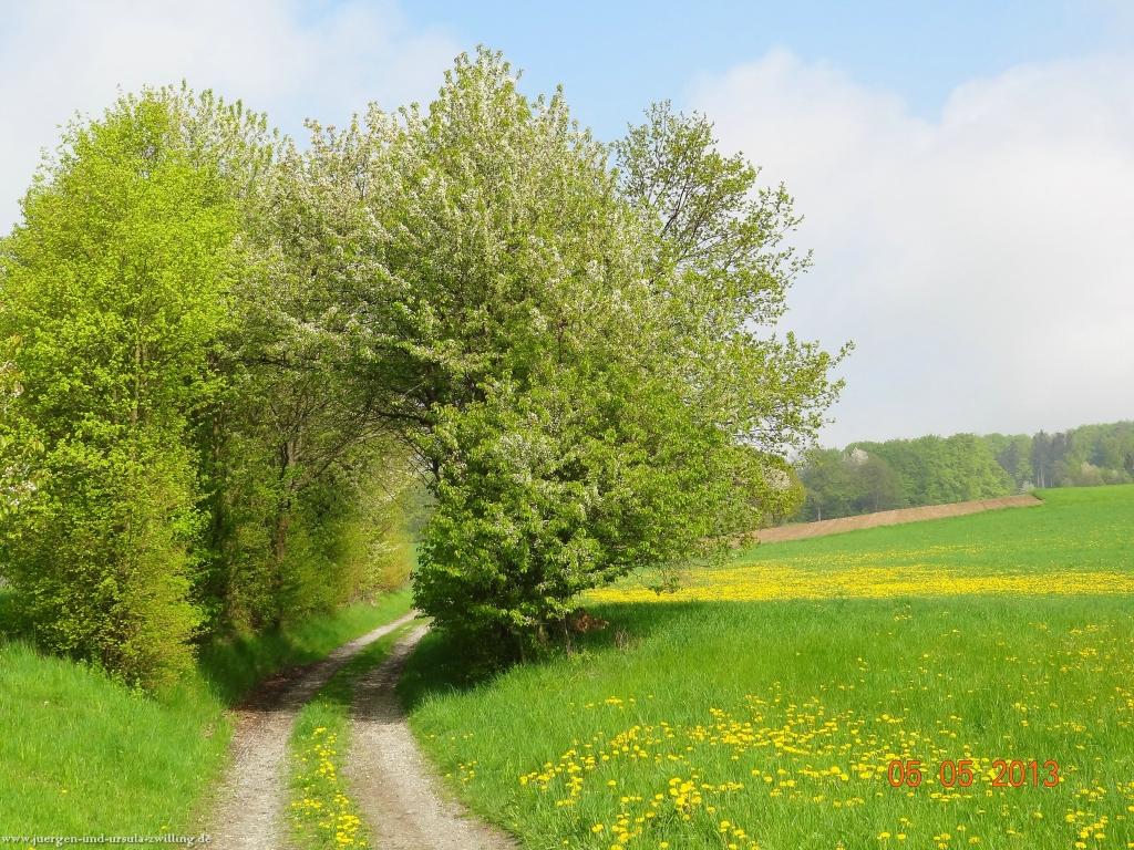 Philosophische Bildwanderung Modautaler Weitblickweg