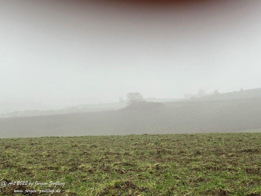 Dezember Weinberge - Hackenheim - Rheinhessen