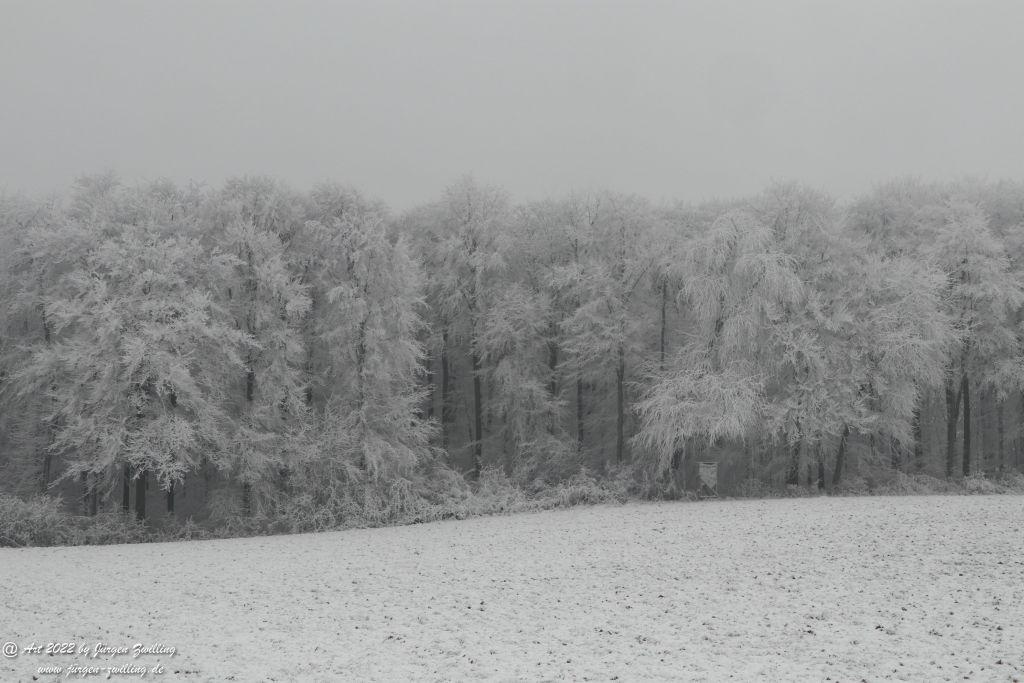 Winter Wonderland Rheinhessen - Hackenheim