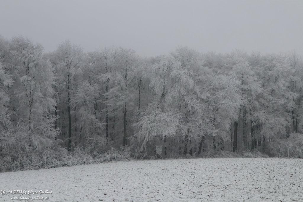 Winter Wonderland Rheinhessen  - Hackenheim 