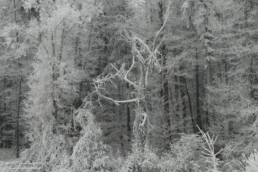 Winter Wonderland Rheinhessen - Hackenheim